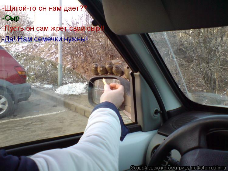 Котоматрица: -Щитой-то он нам дает?? -Сыр -Пусть он сам жрет свой сыр!! -Да! Нам семечки нужны!