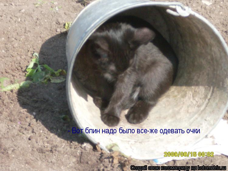 Котоматрица: - Вот блин надо было все-же одевать очки - Вот блин надо было все-же одевать очки