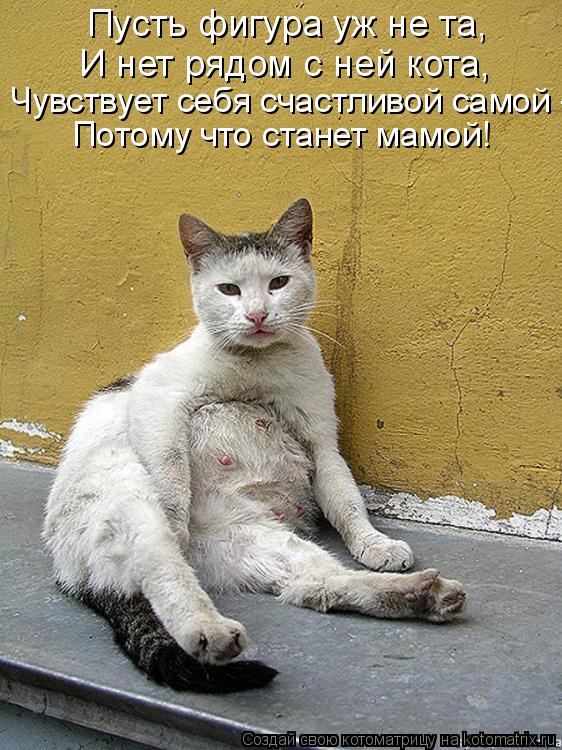 Пусть фигура уж не та, И нет рядом с ней кота, Чувствует себя счастливой самой - Потому что станет м... Котоматрица: Пусть фигура уж не та, И нет рядом с ней кота, Чувствует себя счастливой самой - Потому что станет мамой!