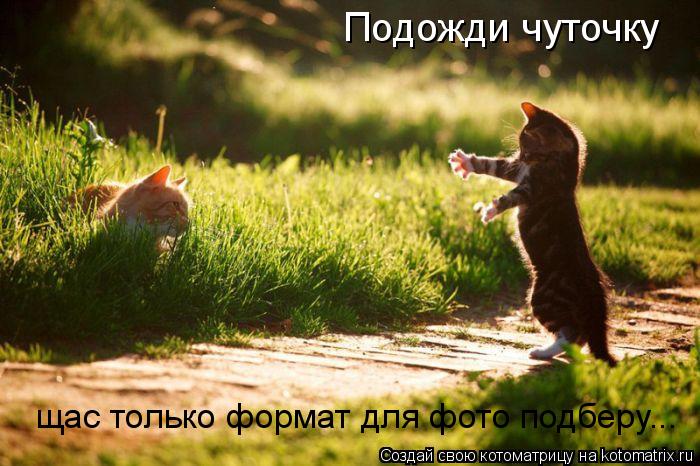 Котоматрица: Подожди чуточку щас только формат для фото подберу...