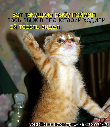 Котоматрица: вот такущюю рыбу поймал вась вы ж в планетарий ходили ой тоесть видел