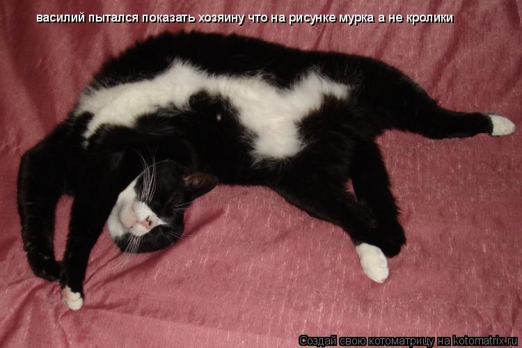 василий пытался показать хозяину что на рисунке мурка а не кролики... Котоматрица: василий пытался показать хозяину что на рисунке мурка а не кролики