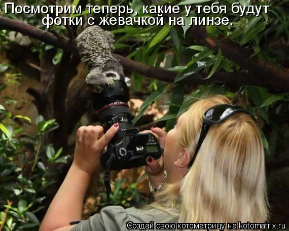 Котоматрица: Посмотрим теперь, какие у тебя будут фотки с жевачкой на линзе.