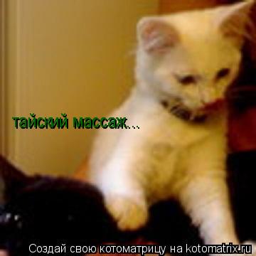 Котоматрица: тайский массаж... тайский массаж...