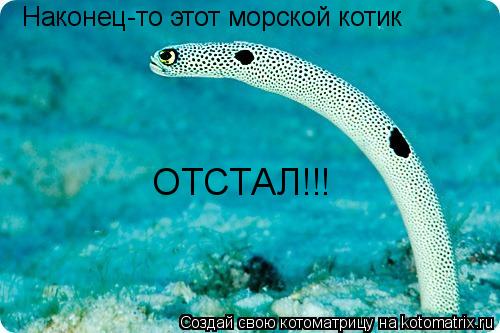 Котоматрица: Наконец-то этот морской котик ОТСТАЛ!!!
