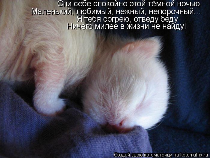 Котоматрица: Спи себе спокойно этой тёмной ночью Маленький, любимый, нежный, непорочный... Я тебя согрею, отведу беду Ничего милее в жизни не найду!