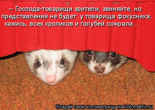 Котоматрица: -- Господа-товарищи зрители, звиняйте, но  представления не будет: у товарища фокусника,  кажись, всех кроликов и голубей сожрали...