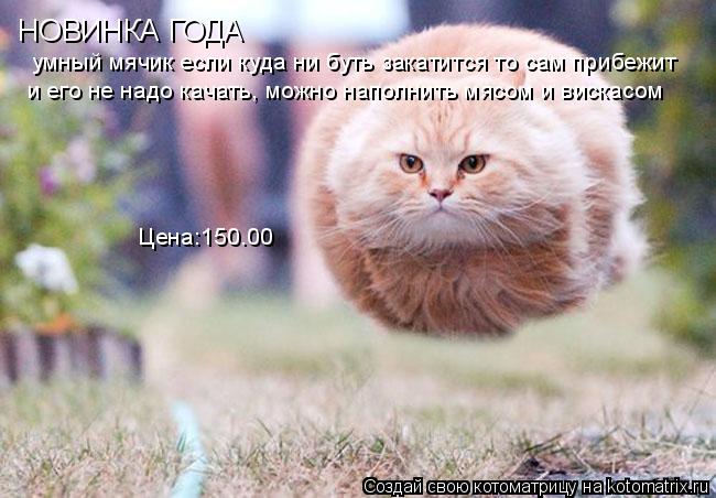 Котоматрица: НОВИНКА ГОДА умный мячик если куда ни буть закатится то сам прибежит  и его не надо качать, можно наполнить мясом и вискасом  Цена:150.00