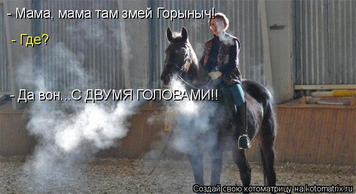 Котоматрица: - Мама, мама там змей Горыныч!  - Где?  - Да вон...С ДВУМЯ ГОЛОВАМИ!!