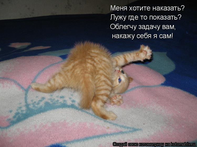 Котоматрица: Меня хотите наказать? Лужу где то показать? Облегчу задачу вам, накажу себя я сам!