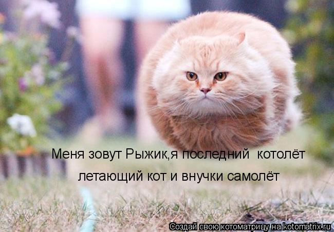 Котоматрица: Меня зовут Рыжик,я последний  котолёт летающий кот и внучки самолёт