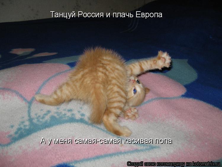 Котоматрица: Танцуй Россия и плачь Европа А у меня самая-самая касивая попа