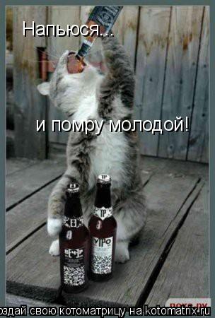 Котоматрица: Напьюся... и помру молодой!