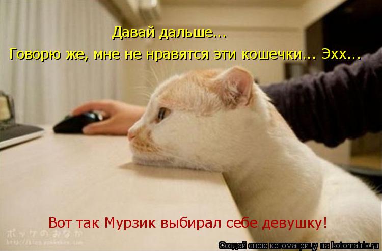 Котоматрица: Давай дальше...  Говорю же, мне не нравятся эти кошечки... Эхх... Вот так Мурзик выбирал себе девушку!