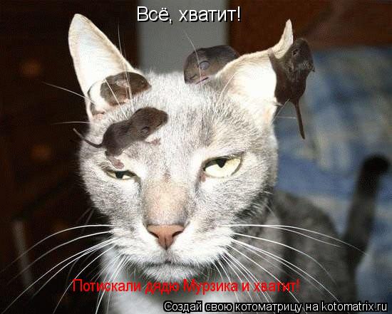 Котоматрица: Всё, хватит! Потискали дядю Мурзика и хватит!