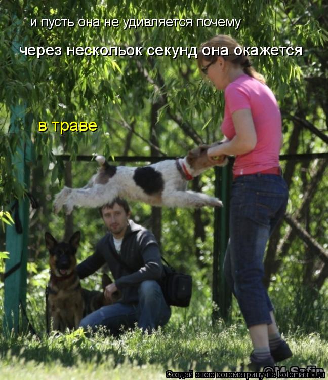 Котоматрица: и пусть она не удивляется почему  через нескольок секунд она окажется  в траве