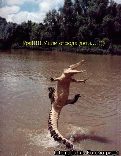 Котоматрица: - Ура!!!!! Ушли отсюда дети....)))