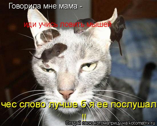 Котоматрица: Говорила мне мама -  иди учись ловить мышей чес слово лучше б я ее послушал!! чес слово лучше б я ее послушал!! !!
