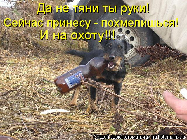 Котоматрица: Да не тяни ты руки!  Сейчас принесу - похмелишься!  И на охоту!!!