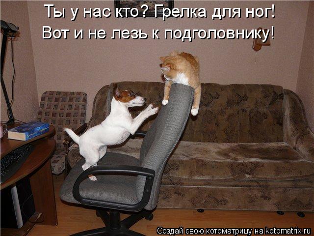 Котоматрица: Ты у нас кто? Грелка для ног!  Вот и не лезь к подголовнику!