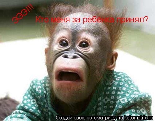 Котоматрица: ЭЭЭ!!! Кто меня за ребёнка принял?