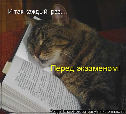 Котоматрица: И так каждый  раз... Перед экзаменом!