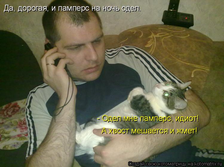 Котоматрица: Да, дорогая, и памперс на ночь одел. - Одел мне памперс, идиот!  А хвост мешается и жмет!