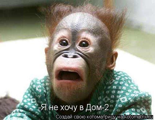 Котоматрица: -Я не хочу в Дом-2