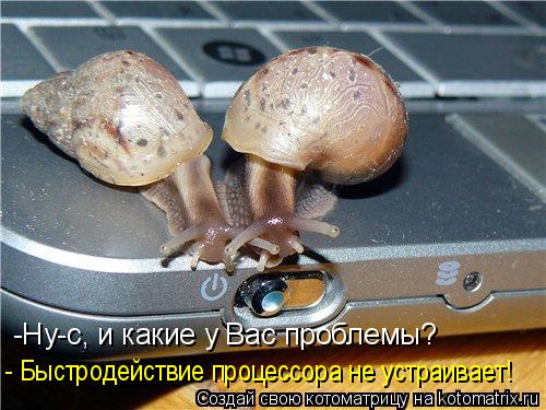 Котоматрица: -Ну-с, и какие у Вас проблемы? - Быстродействие процессора не устраивает!
