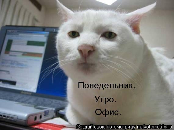 Котоматрица: Понедельник. Утро. Офис.
