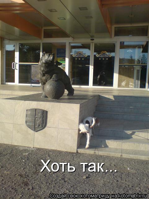 Котоматрица: Хоть так...