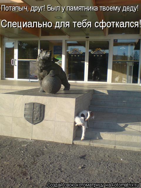 Котоматрица: Потапыч, друг! Был у памятника твоему деду!  Специально для тебя сфоткался!
