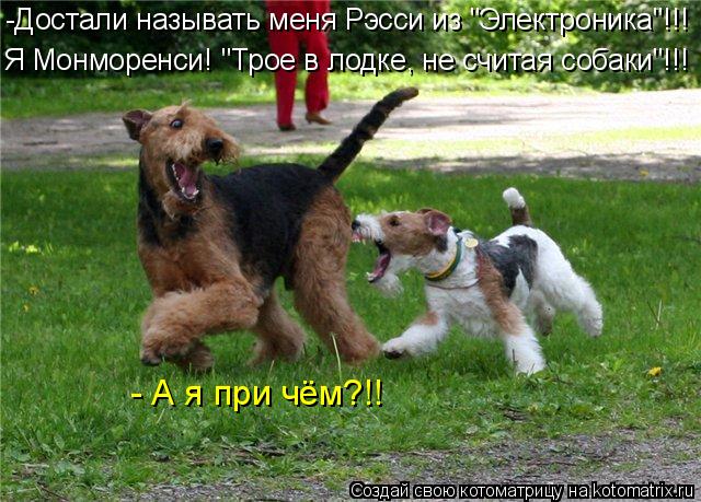 Котоматрица: -Достали называть меня Рэсси из "Электроника"!!! Я Монморенси! "Трое в лодке, не считая собаки"!!! - А я при чём?!!
