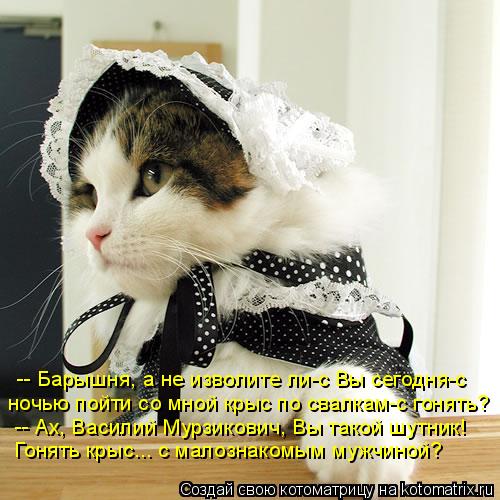 Котоматрица: -- Барышня, а не изволите ли-с Вы сегодня-с  ночью пойти со мной крыс по свалкам-с гонять? -- Ах, Василий Мурзикович, Вы такой шутник! Гонять крыс