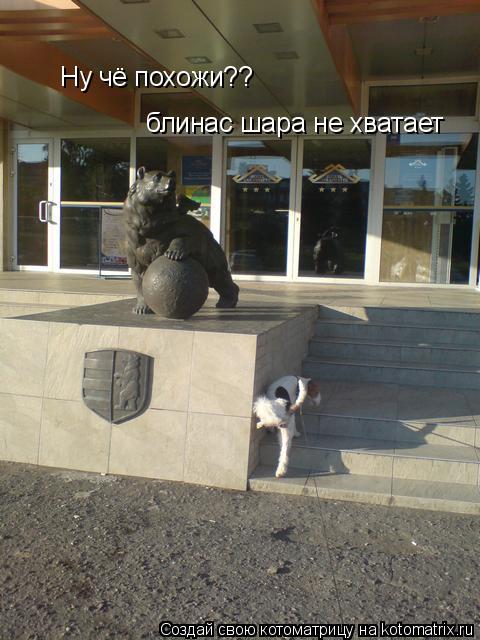 Котоматрица: Ну чё похожи?? блинас шара не хватает