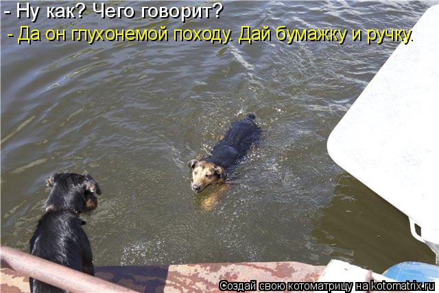 Котоматрица: - Ну как? Чего говорит? - Да он глухонемой походу. Дай бумажку и ручку.