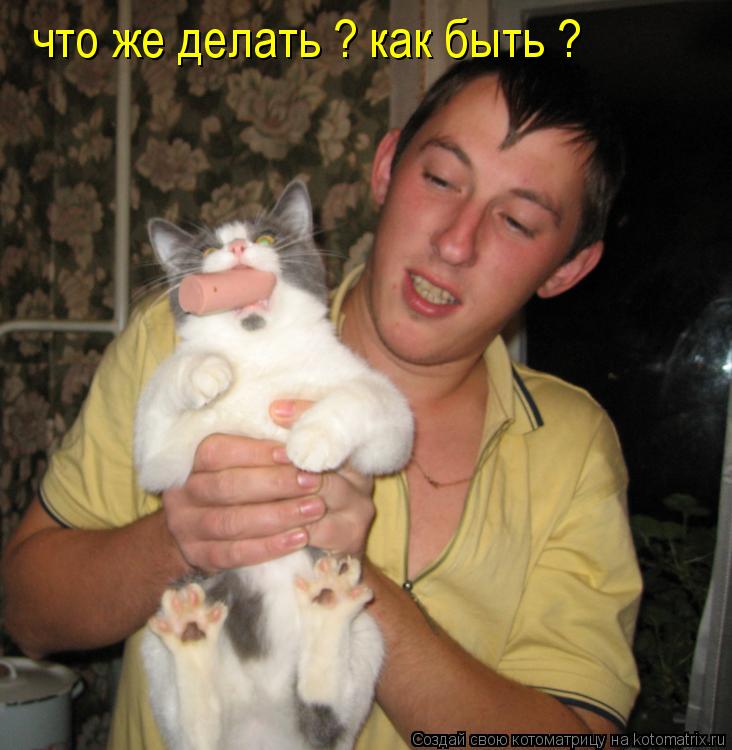Котоматрица: что же делать ? как быть ?