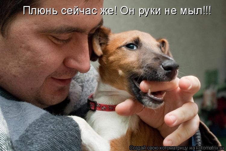 Котоматрица: Плюнь сейчас же! Он руки не мыл!!!