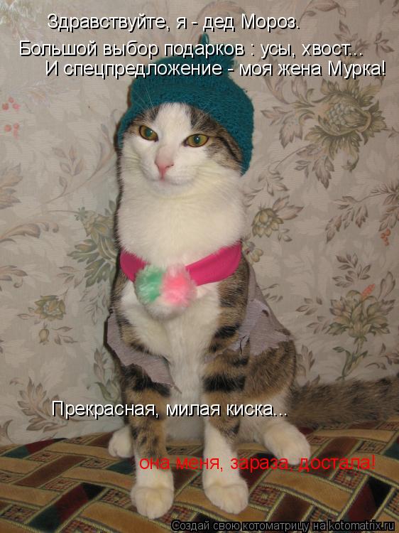 Котоматрица: Здравствуйте, я - дед Мороз. Большой выбор подарков : усы, хвост... И спецпредложение - моя жена Мурка! Прекрасная, милая киска... она меня, зараз