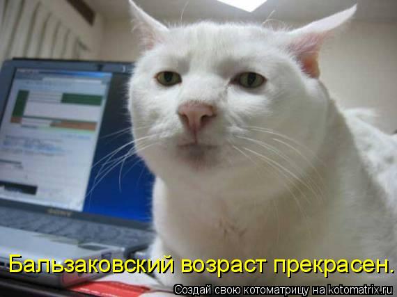 Котоматрица: Бальзаковский возраст прекрасен.