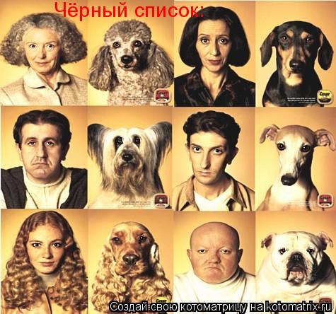 Котоматрица: Чёрный список: