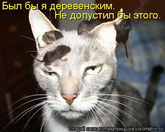 Котоматрица: Был бы я деревенским.  Не допустил бы этого.