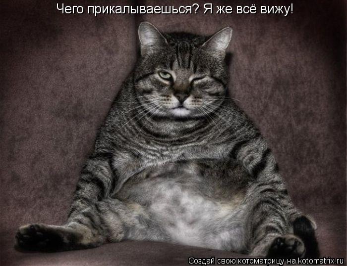 Котоматрица: Чего прикалываешься? Я же всё вижу!