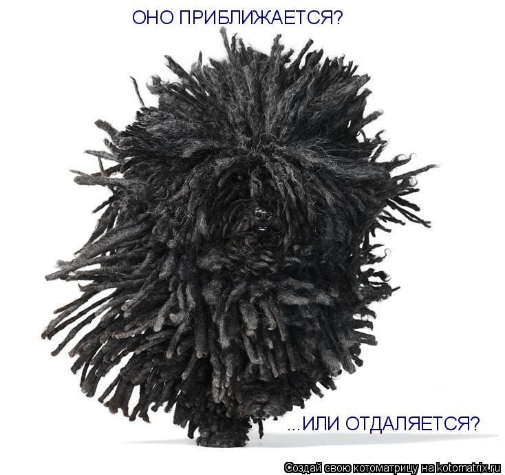 Котоматрица: ОНО ПРИБЛИЖАЕТСЯ? ...ИЛИ ОТДАЛЯЕТСЯ?