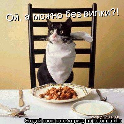 Котоматрица: Ой, а можно без вилки?!
