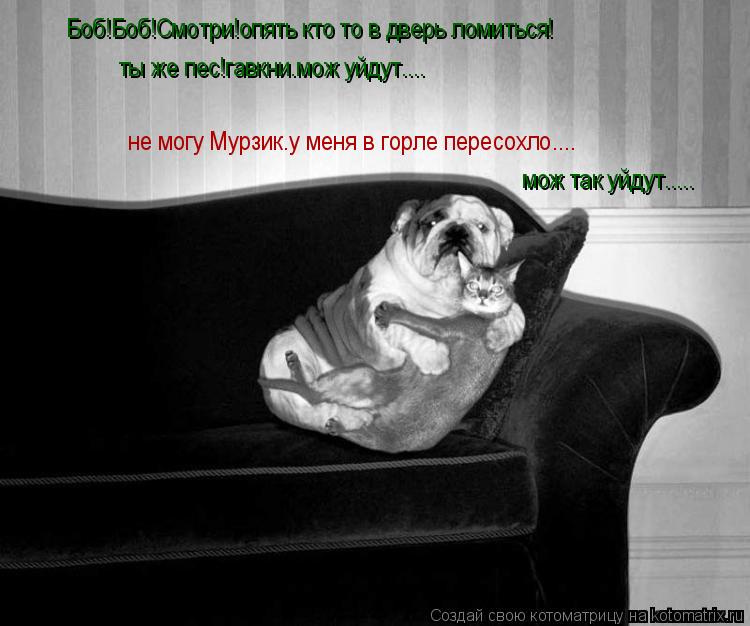 Котоматрица: Боб!Боб!Смотри!опять кто то в дверь ломиться! ты же пес!гавкни.мож уйдут.... не могу Мурзик.у меня в горле пересохло.... мож так уйдут.....