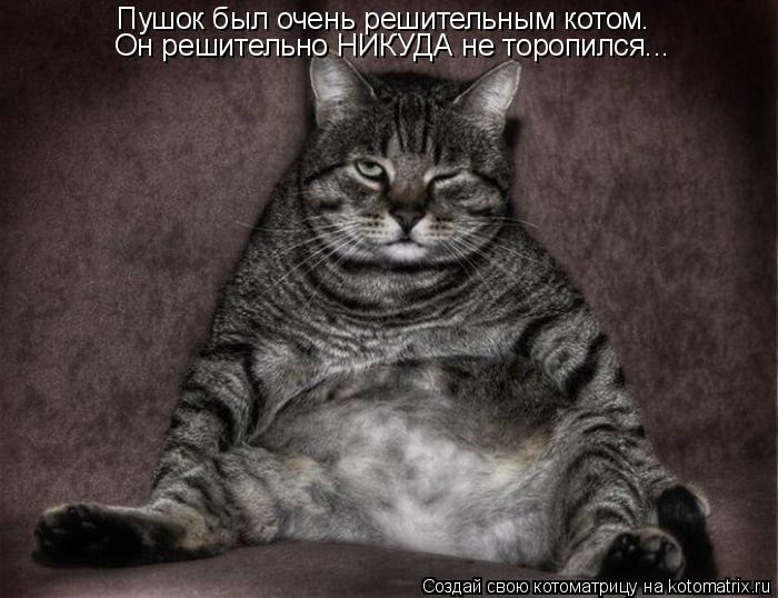 Котоматрица: Пушок был очень решительным котом. Он решительно НИКУДА не торопился...