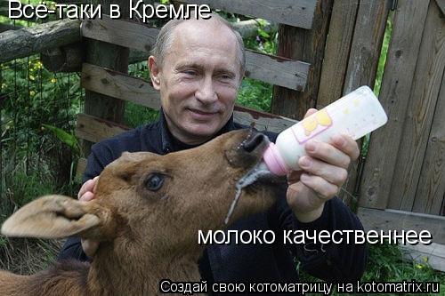 Котоматрица: Всё-таки в Кремле молоко качественнее