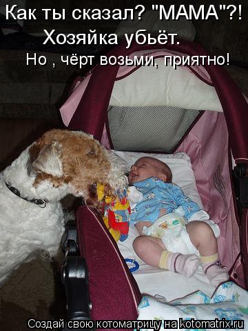 Котоматрица: Как ты сказал? "МАМА"?!   Хозяйка убьёт.  Но , чёрт возьми, приятно!