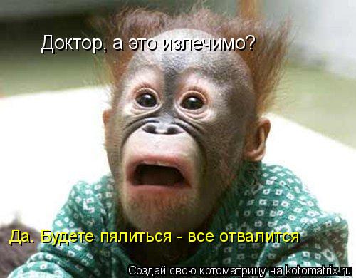 Котоматрица: Доктор, а это излечимо? Да. Будете пялиться - все отвалится